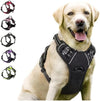 Heavy Duty Dog Harness